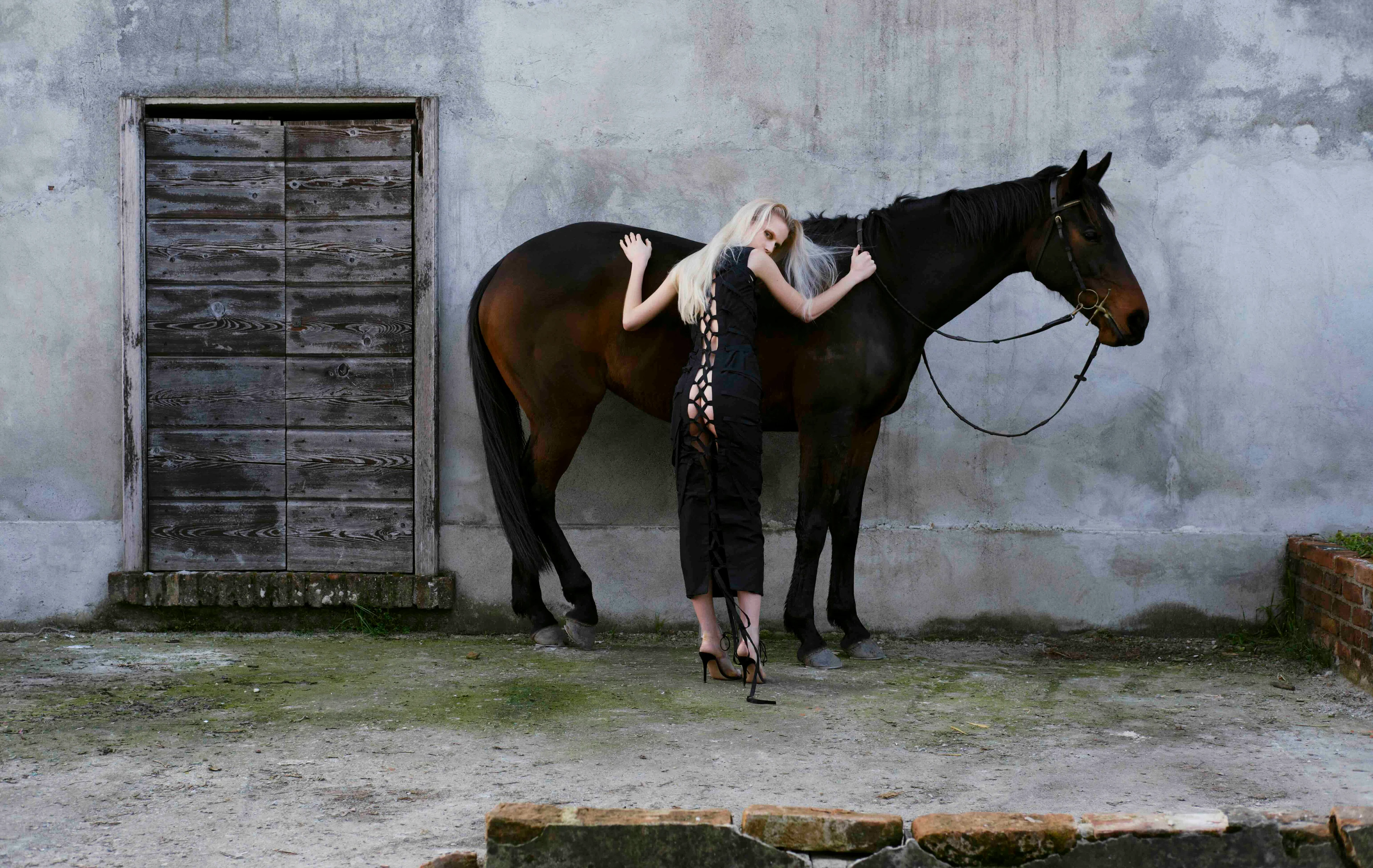 Welcome to Our Store